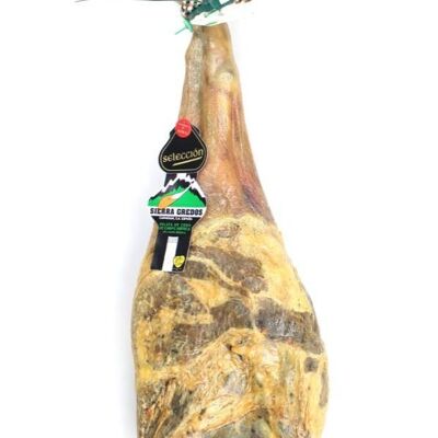 Jamón Paleta Ibérico. Etiqueta verde