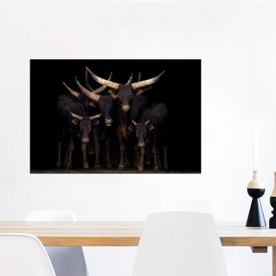 Glasschilderij - 90x60 cm - Koeien - Watussi - Zwart