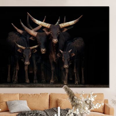 Glasschilderij - 150x100 cm - Koeien - Watussi - Zwart