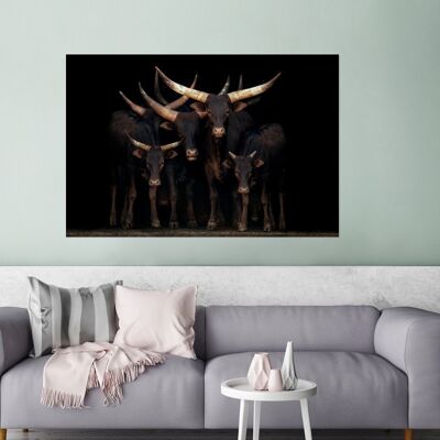 Glasschilderij - 120x80 cm - Koeien - Watussi - Zwart