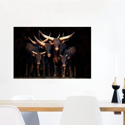 Glasschilderij - 90x60 cm - Koe - Watussie - Stier - Zwart