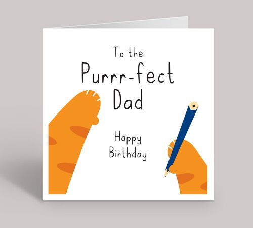 Cat Dad Card, Happy Birthday Card From The Cat, Cat Dad Birthday Card, Ginger Cat, Tabby Cat, Black Cat, Funny Birthday Card, For Him , TH106