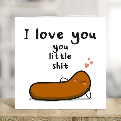 I Love You, You Little Shit, Funny Anniversary Card, Boyfriend, Girlfriend, Wife, Fiancé, Fiancée, Husband, Partner, For him, For her , TH155