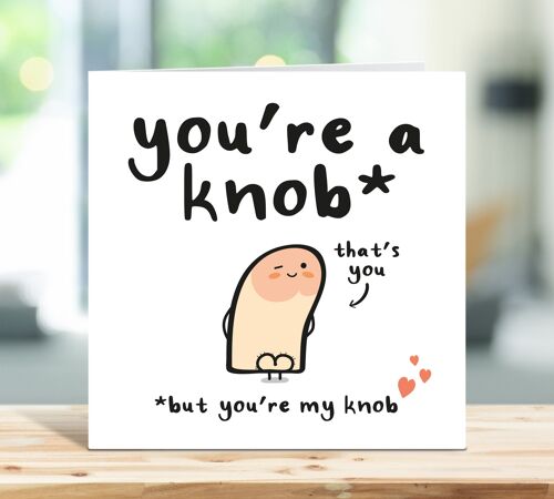 Funny Anniversary Card, You're a knob but you're my knob, Cheeky Love Card, Cheeky Rude Card, For Him, Boyfriend, Fiance, Husband, Partner , TH225