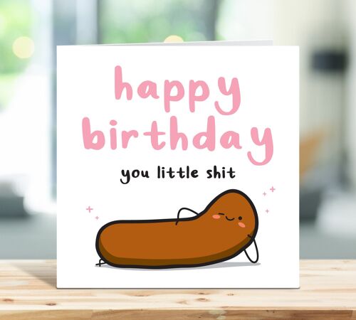 Happy Birthday You Little Shit, Funny Birthday Card, For Boyfriend, For Brother, For Sister, For Siblings, Card For Him, Card For Her , TH313