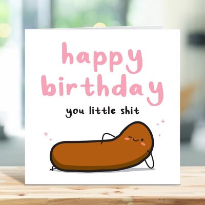 Happy Birthday You Little Shit, lustige Geburtstagskarte, für Freund, Bruder, Schwester, Geschwister, Karte für ihn, Karte für sie, TH313