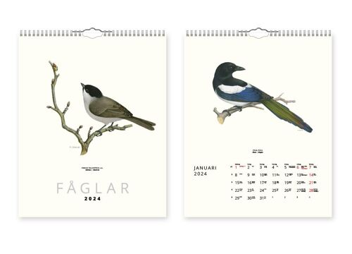 Wall calendar Birds 2024