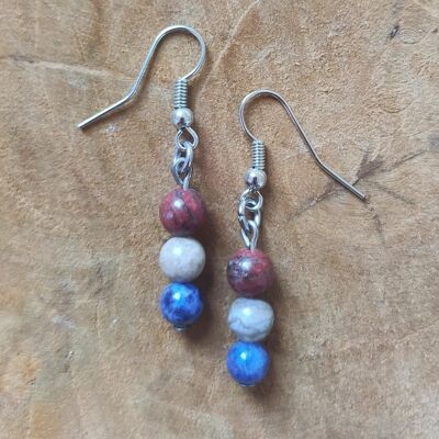 Jasper and sodalite earrings - Stainless steel