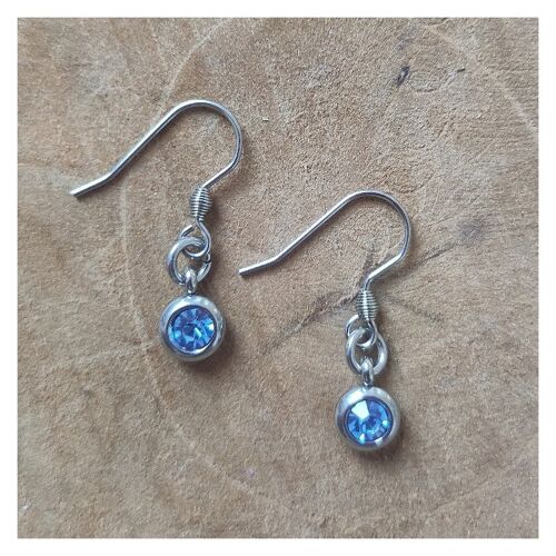 Stainless steel earrings