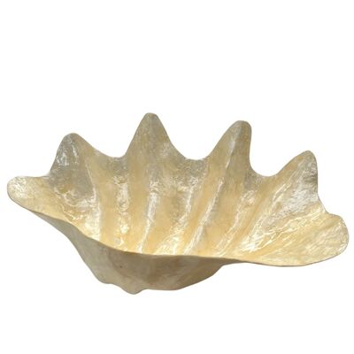Large capiz cup in the shape of a conch