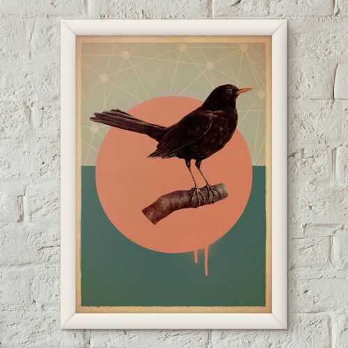 Blackbird Bird Vintage Style Poster Art Print