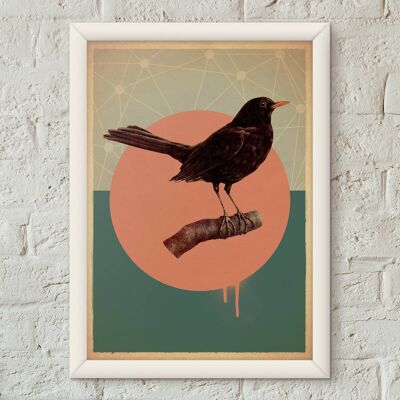 Cartel del estilo del vintage del pájaro del mirlo Lámina artística