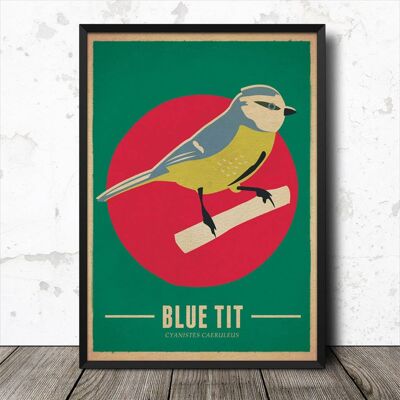 Affiche de nature de style rétro vintage d'oiseau de mésange bleue Impression artistique