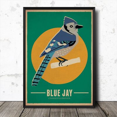 Cartel retro del estilo del vintage de los pájaros de Bluejay Lámina artística