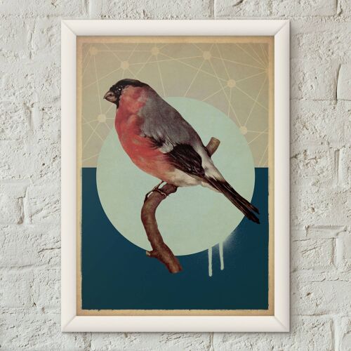 Bullfinch Bird Vintage Style Poster Art Print