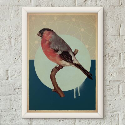 Bullfinch Bird Vintage Style Poster Art Print