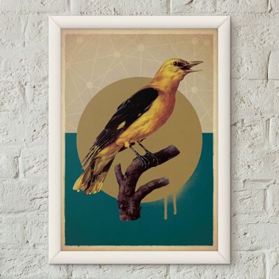 Stampa artistica di poster in stile vintage con uccello Rigogolo dorato