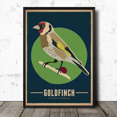 Stieglitz Vögel Vintage Retro Style Natur Poster Kunstdruck