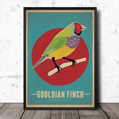 Cartel retro del estilo del vintage de los pájaros del pinzón de Gouldian Lámina artística