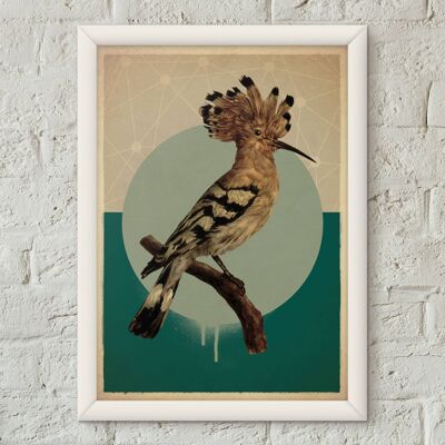 Cartel de estilo vintage de pájaro abubilla Lámina artística