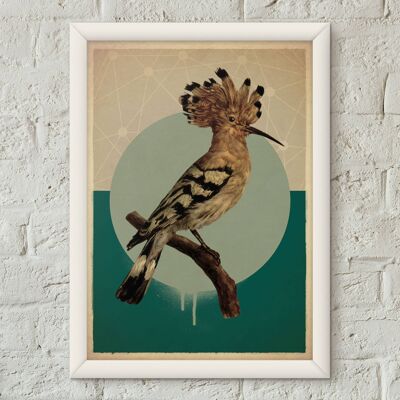 Wiedehopf Vogel Vintage Style Poster Kunstdruck