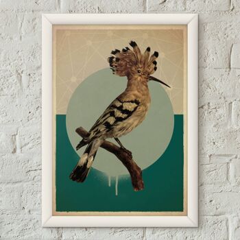 Affiche de style vintage d'oiseau huppe fasciée Impression artistique