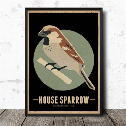 House Sparrow Bird Vintage Retro Style Poster Art Print