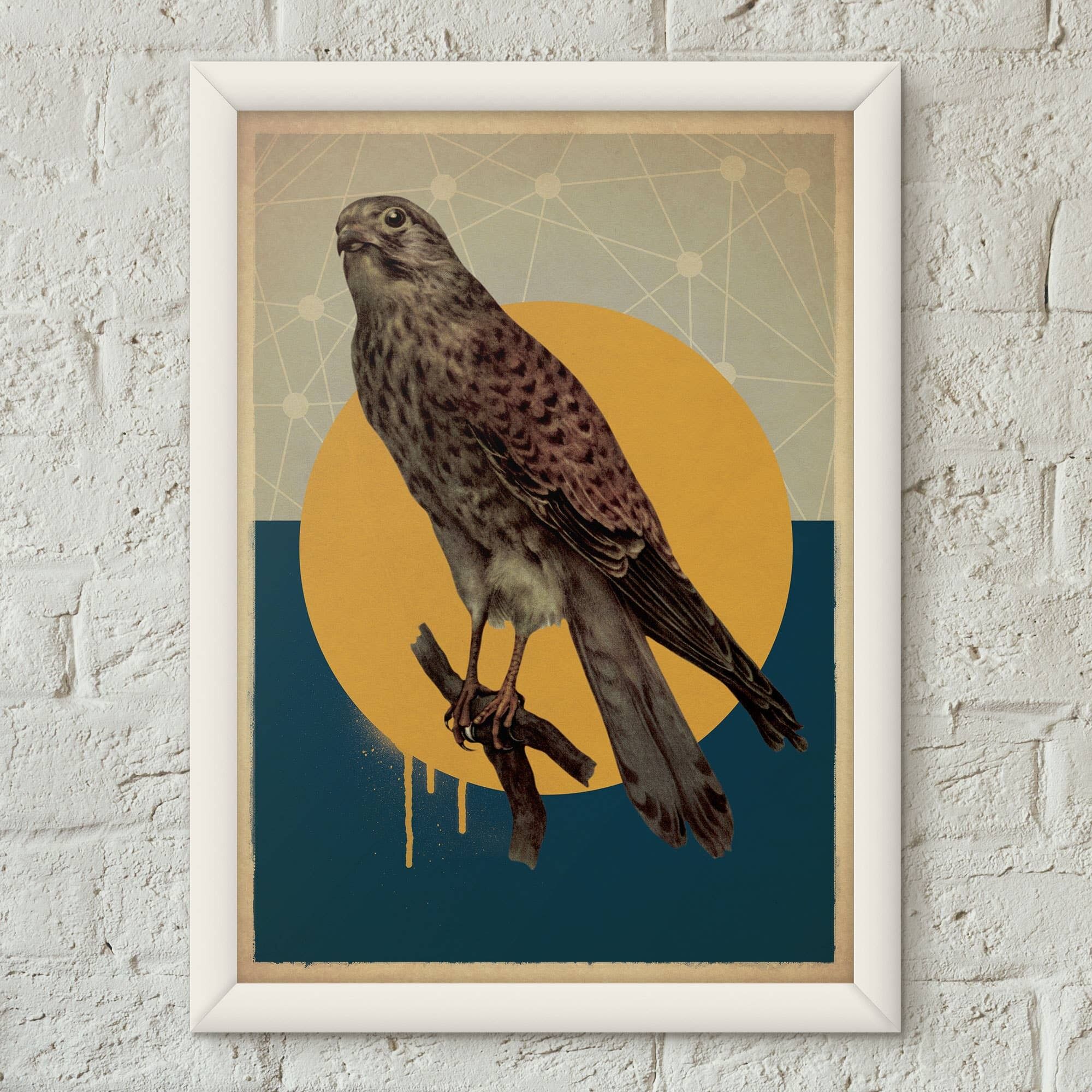 Stampa artistica poster stile vintage uccello gheppio