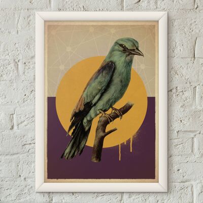 Roller Bird Vintage Style Poster Kunstdruck