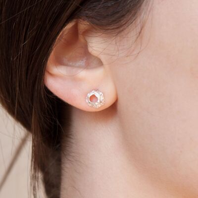 Seashell earrings