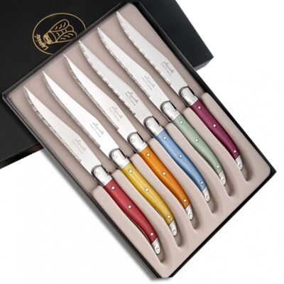 Box of 6 Laguiole ABS steak knives assorted colors