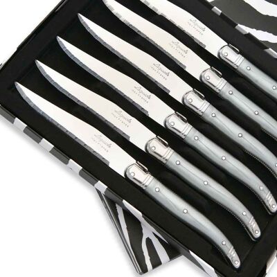 Caja de 6 cuchillos chuleteros Laguiole ABS color gris