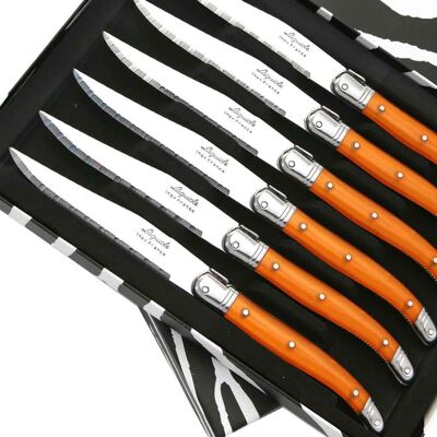 Box of 6 Laguiole ABS steak knives in orange color