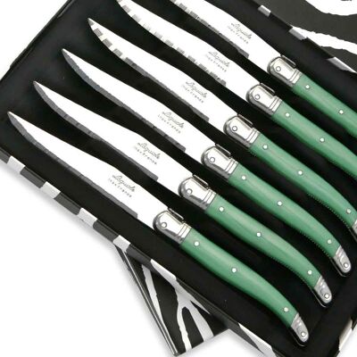 Schachtel mit 6 Laguiole ABS-Steakmessern in grüner Farbe