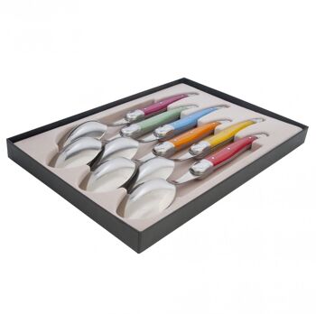 Coffret de 6 Cuillères à soupe Laguiole coloris assortis 4