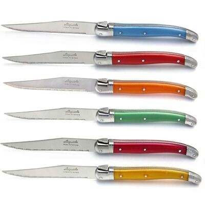 Laguiole cutlery set 24 pieces assorted colors