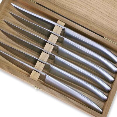 Box of 6 Thiers knives in shiny stainless steel