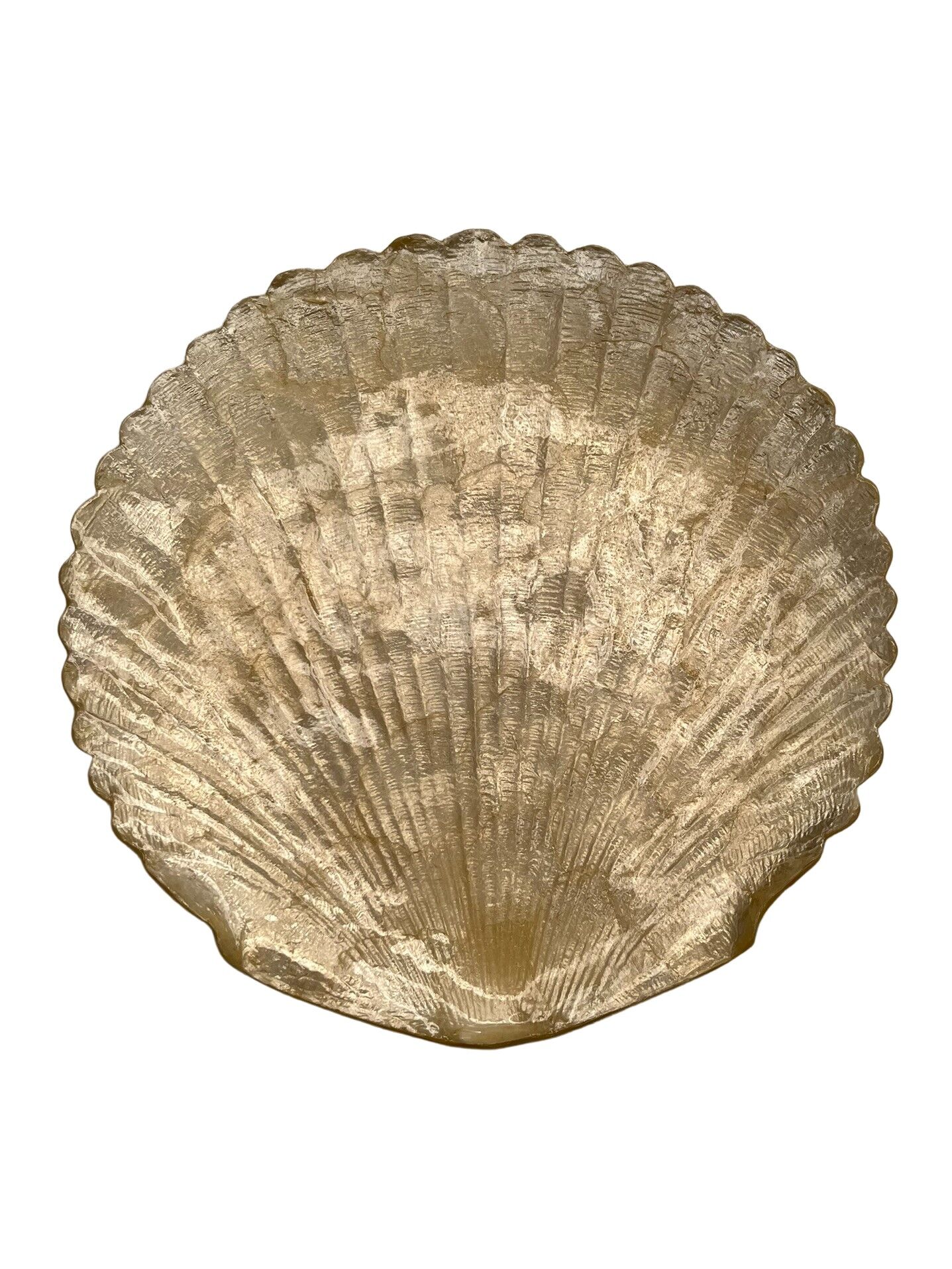 Piatto capiz grande a forma di conchiglia