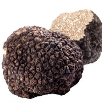 Summer truffles (tuber aestivum)