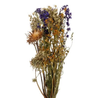 Bouquet di fiori secchi - Arancio - Blu