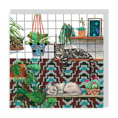 Kitchen Cats Shelfie (white) 6 Pack