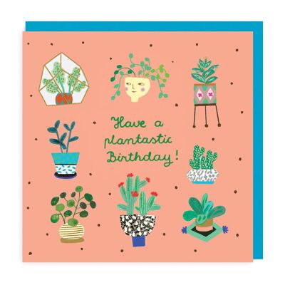 Birthday with Plants 6 pack