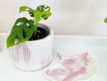 Jesmonite Decorative Tray | Marbled Gingko Biloba Leaf | Shade Pink White | Home Decor Object 4