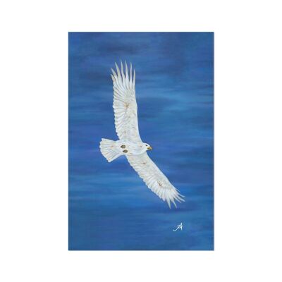 Soaring Eagle Amanya Design Fine Art Print 12"x16"