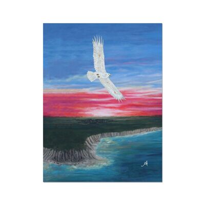 Eagle Soaring with Sunset Amanya Design Fine Art Print 12"x16"