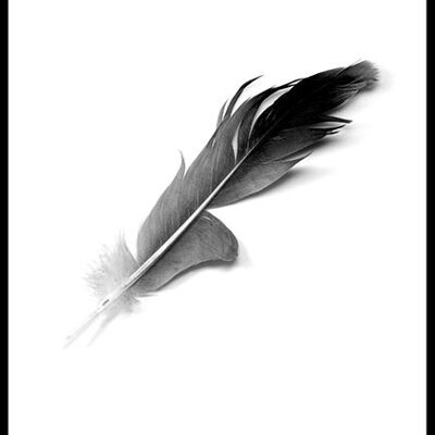 Poster Feather - 50x70