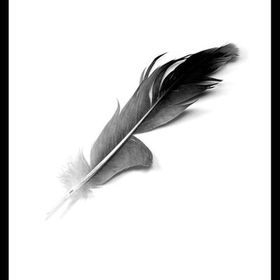 Poster di piume - 30x40