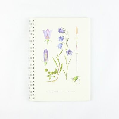Notepad Bluebell