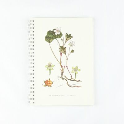 Notepad Cloudberries