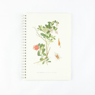 Notepad Lingonberry